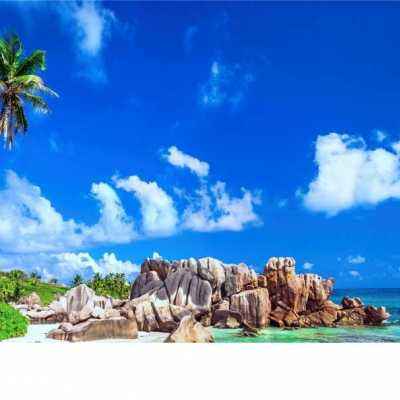 亿博手机端app下载安装截图